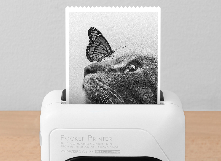 Youdao Memobird G4 pocket printer