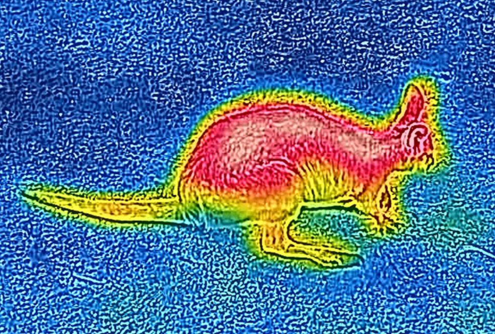 Blackview BV9800 Pro