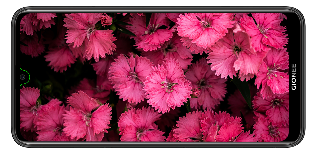 Gionee F9 Plus Display
