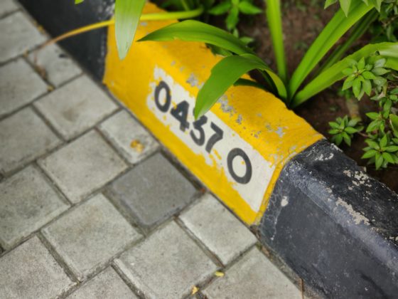 OnePlus 7T Camera Sample Portrait Mode 4