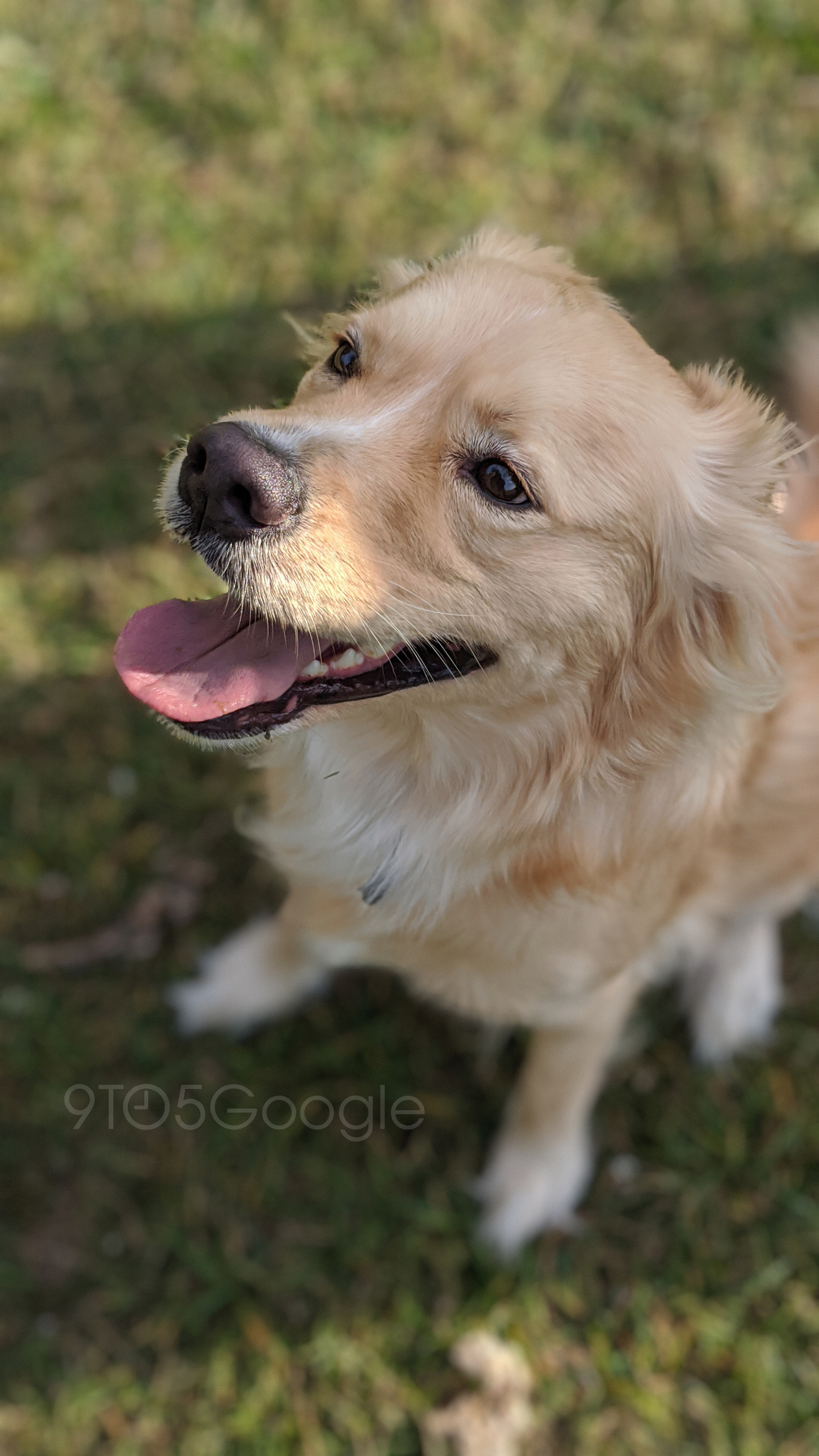 Google Pixel 4 Camera Sample