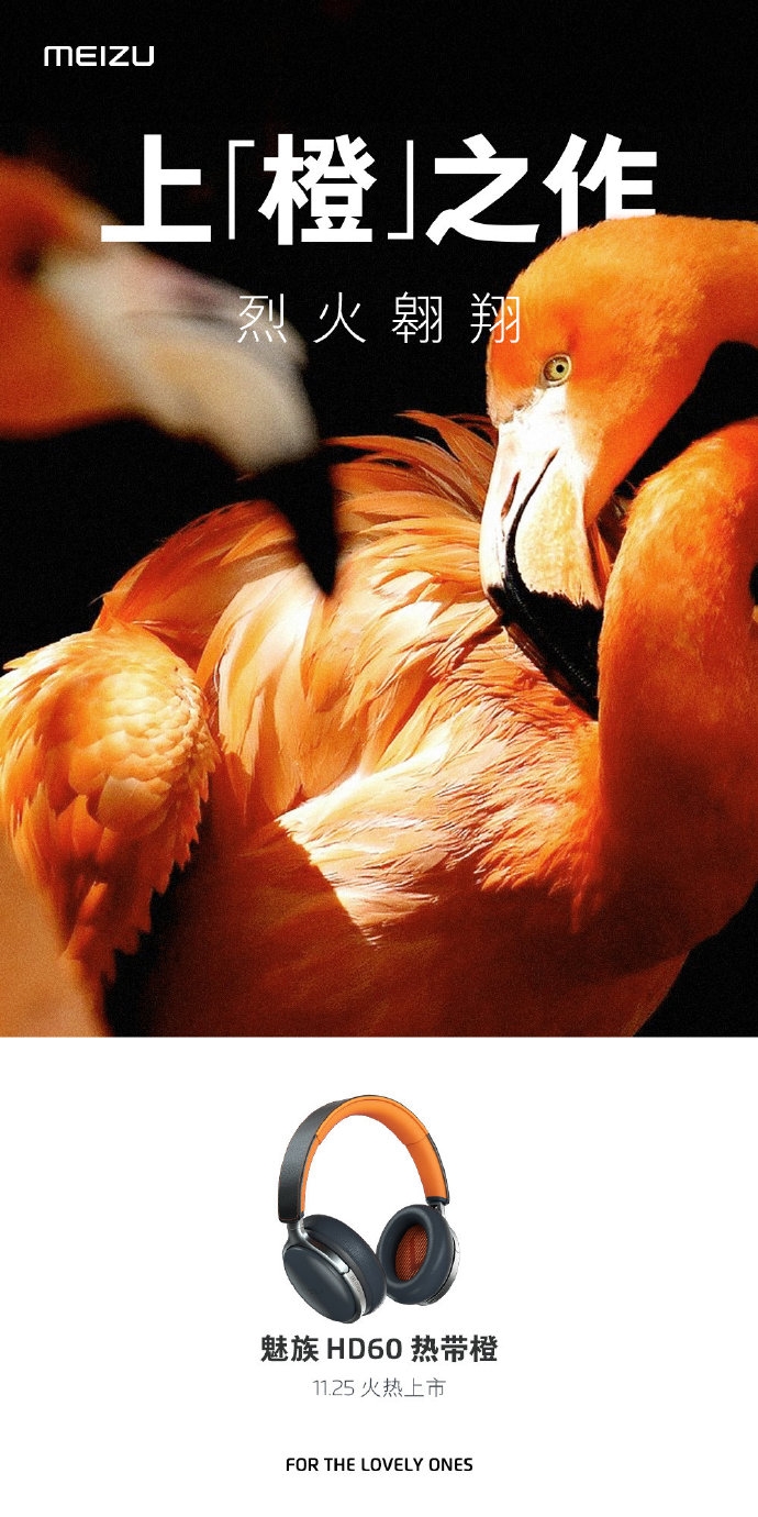 Meizu HD60 Orange Sale China