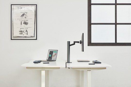 LG Ultrafine Ergo