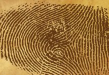 Fingerprints dating technology helps in catching lying criminals