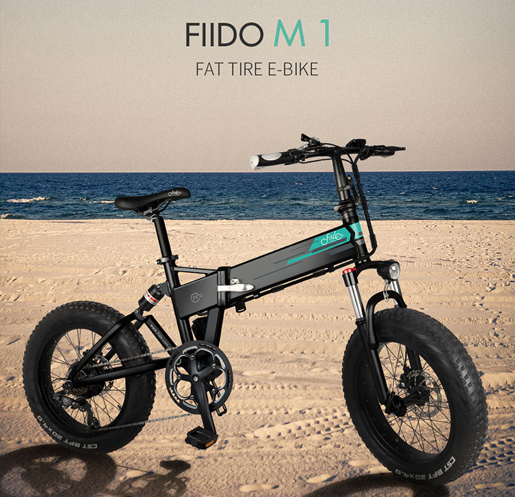 FIIDO M1 Electric Folding Bike
