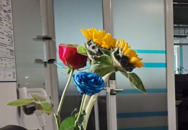 George Zhao teases Honor X10 and MagicBook 14 with 10th Gen Intel Processors 4 Honor X10 RYYB Sensor Flower Tease