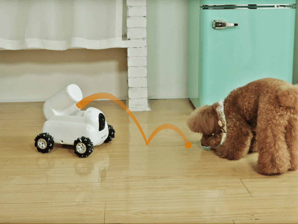pumpkii robot modular pet