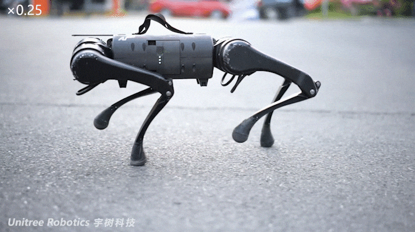 10k robot dog