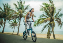 FIIDO D11 Foldable eBike with 100km range coming soon on Indiegogo