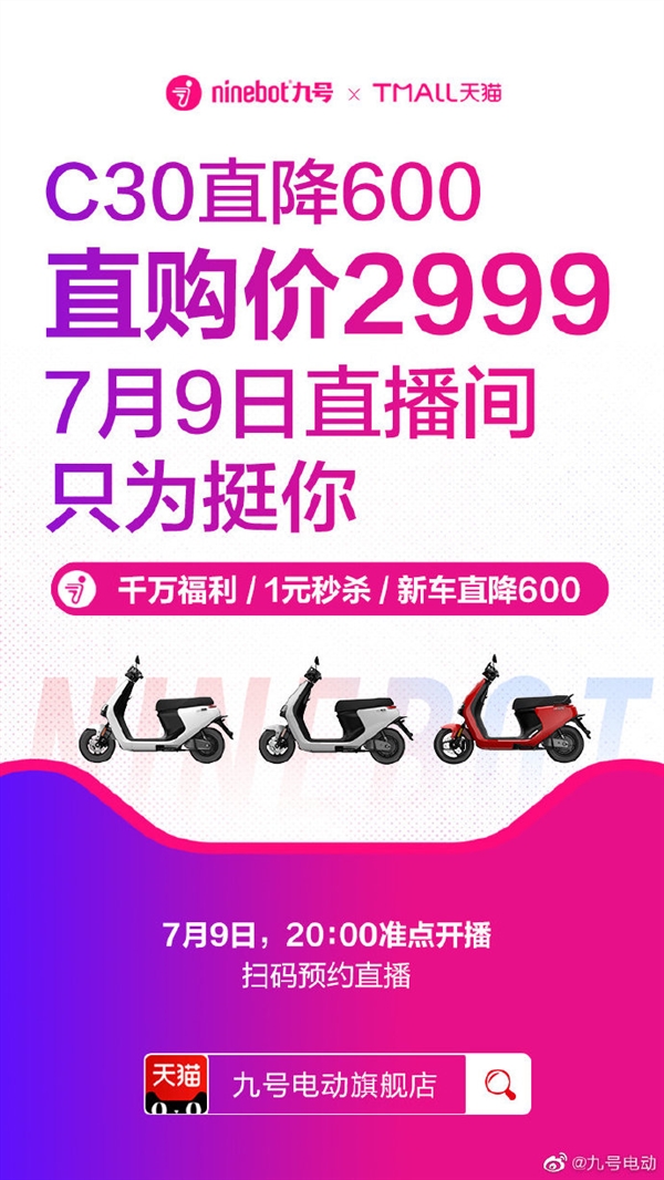 Xiaomi Ninebot C30