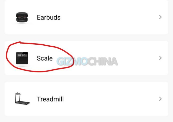 zepp mi scale