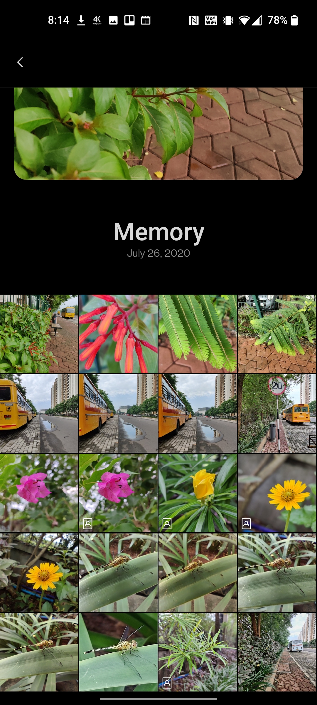 OxygenOS 11 Gallery Stories