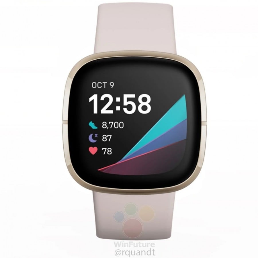 Fitbit OS 5.1 update brings Google Assistant support to the Fitbit ...