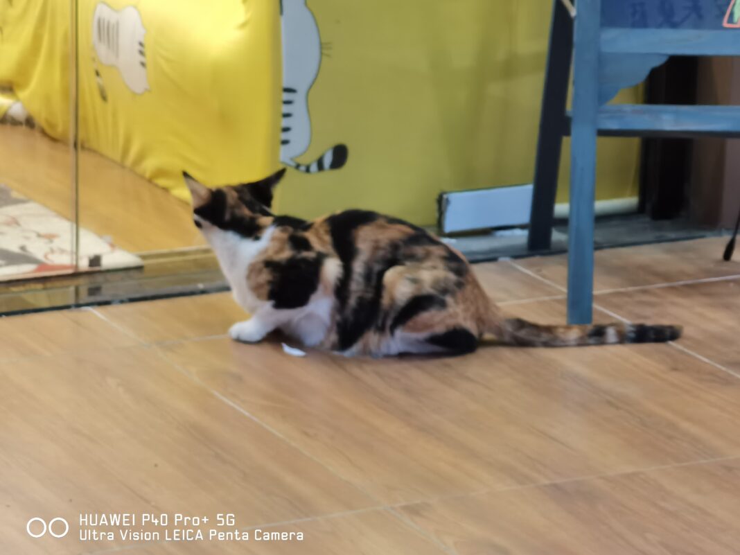 5x Huawei P40 Pro Plus