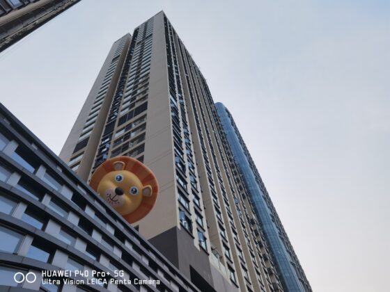 Huawei P40 Pro Main Cam (3)