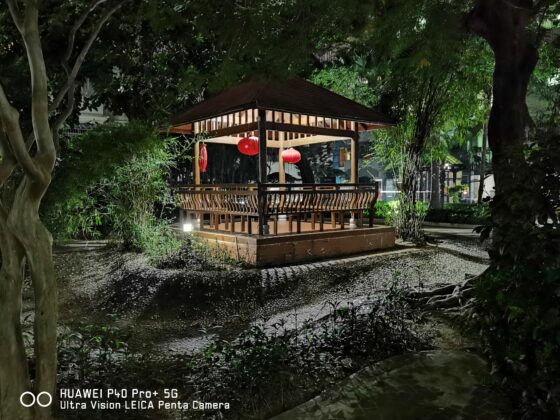 Huawei P40 Pro Plus 1x NIGHT EXTREME LOW LIGHT (3)