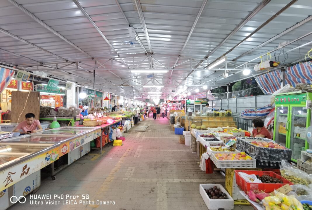 Huawei P40 Pro Plus wide-angle (7)