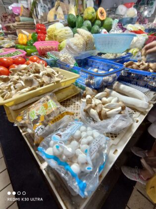 Redmi K30 ultra wide angle Camera Sample-k30u