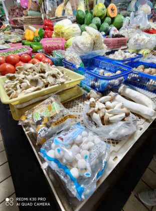 Redmi K30 Pro wide angle Camera Sample