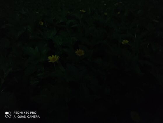Redmi K30 Pro Normal Mode Camera Sample