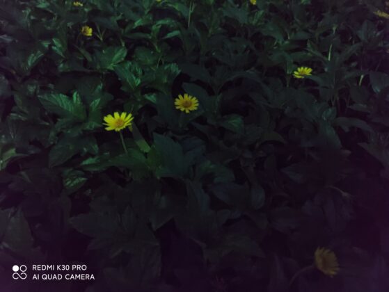Redmi K30 Pro Night Mode Camera Sample