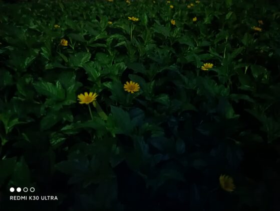 Redmi K30 Ultra Normal Camera Sample