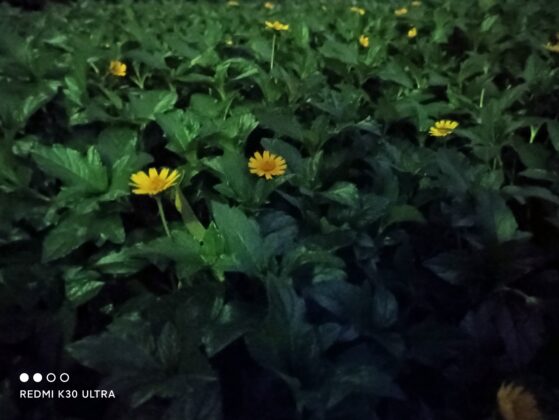 Redmi K30 Ultra Night Mode Camera Sample