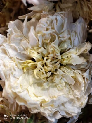 Redmi K30 pro macro Sample