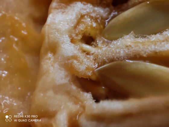 Redmi K30 pro macro Sample