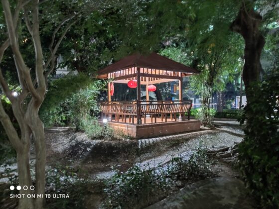 Xiaomi Mi 10 Ultra 1x NIGHT (10)
