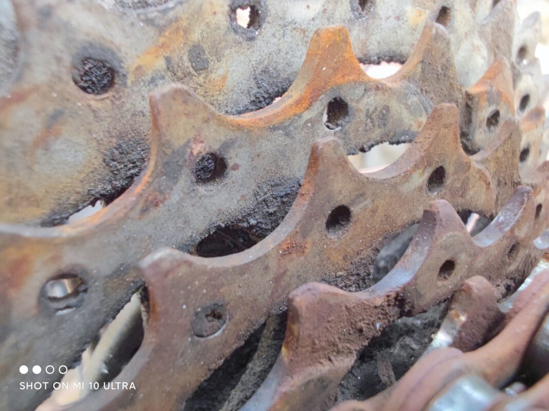 Xiaomi Mi 10 Ultra 1x macro (44)