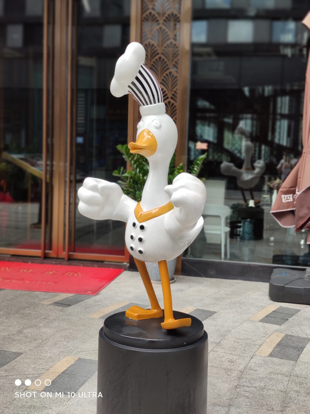 Xiaomi Mi 10 Ultra 1x main cam (41)