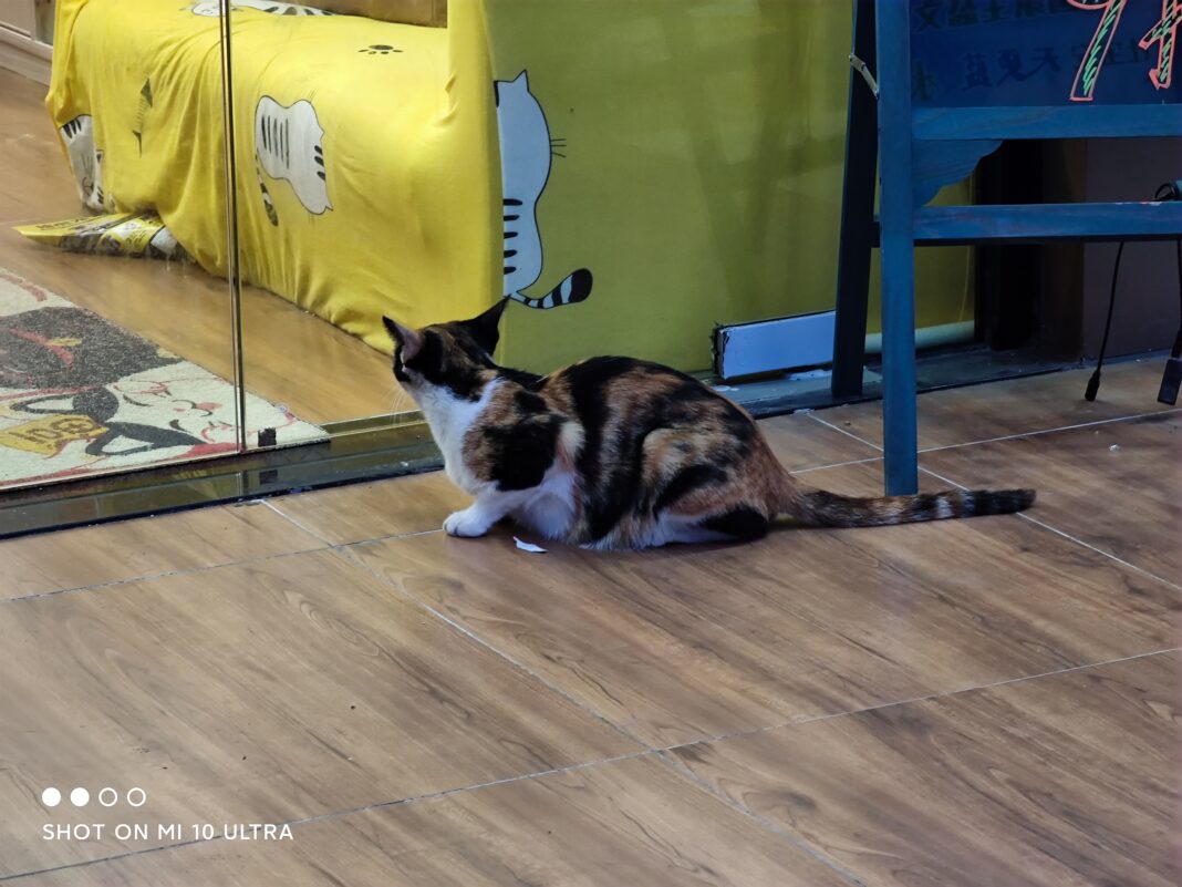 Xiaomi Mi 10 ultra 5x