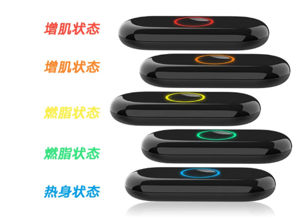 ecg xiaomi