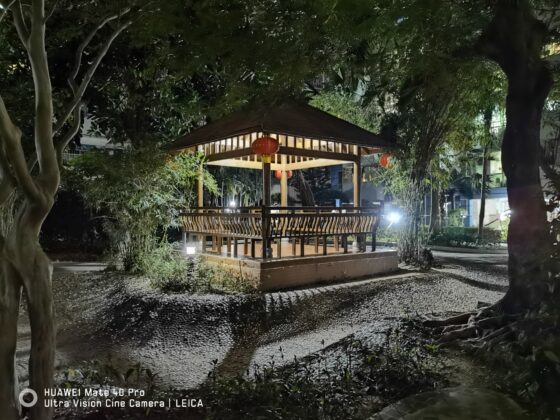 Mate 40 Pro 1x night-2