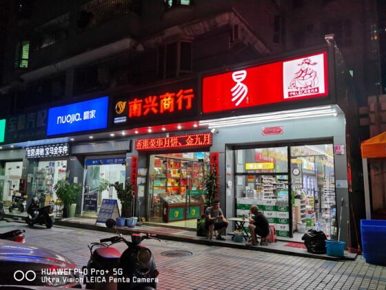 P40 Pro Plus 1x night-2