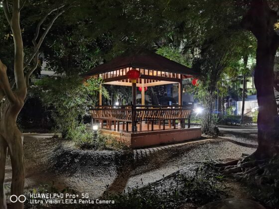 P40 Pro Plus 1x night