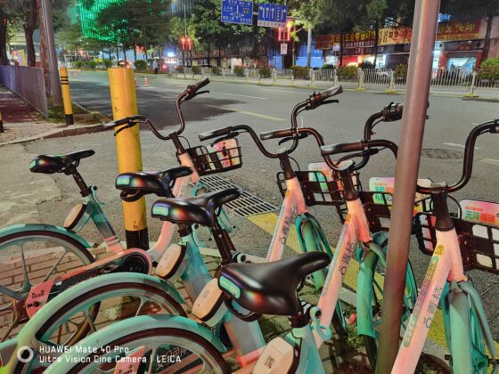 Mate 40 Pro 1x night-5