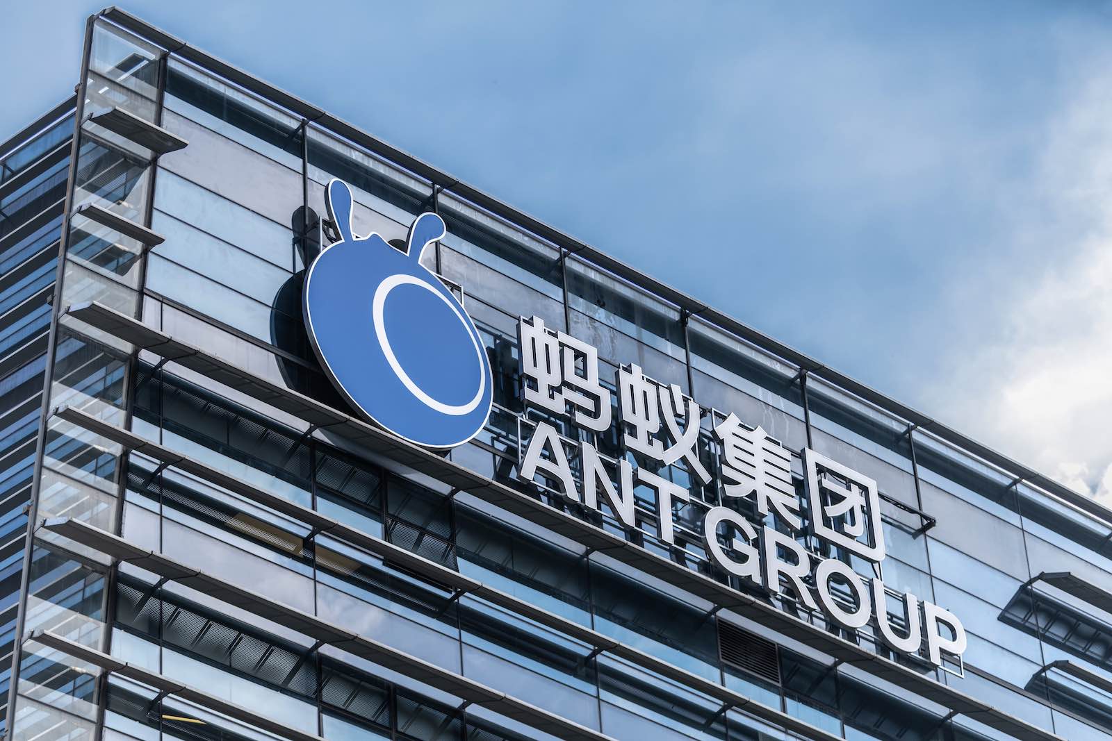 Ant Group Logo