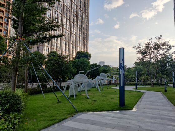 Camera OnePlus 8T (5)