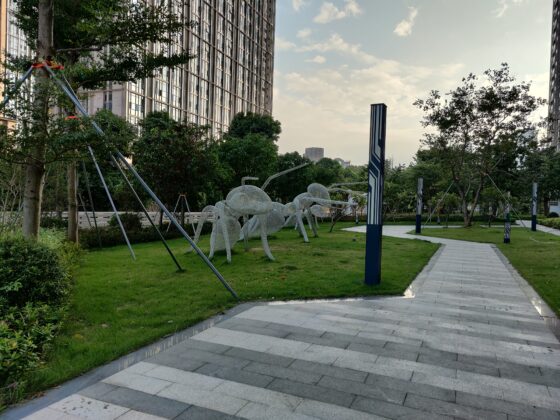 Camera OnePlus 8T Pro (4)