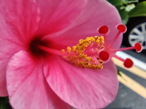 Macro OnePlus 8T