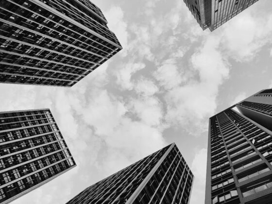OnePlus 8T Monochrome (1)