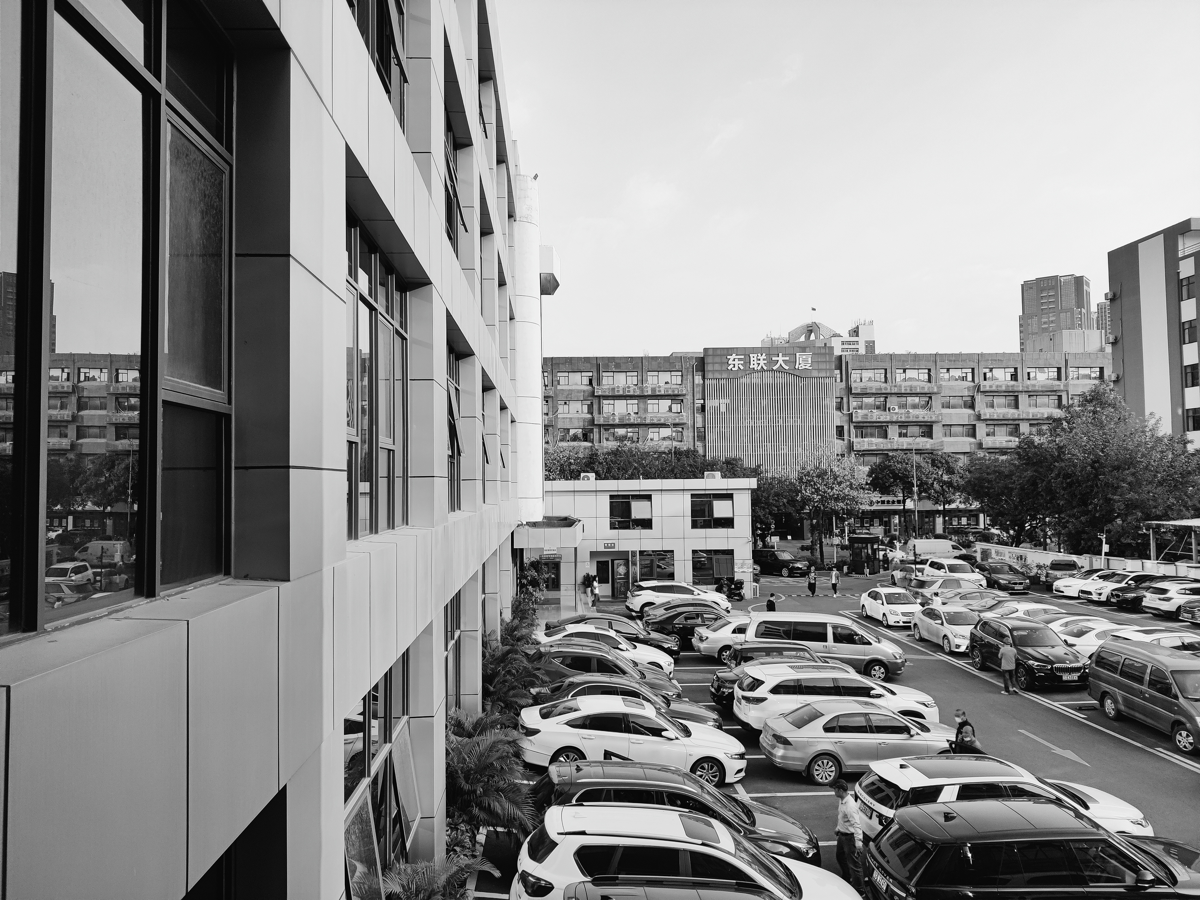 oneplus 8t monochrome