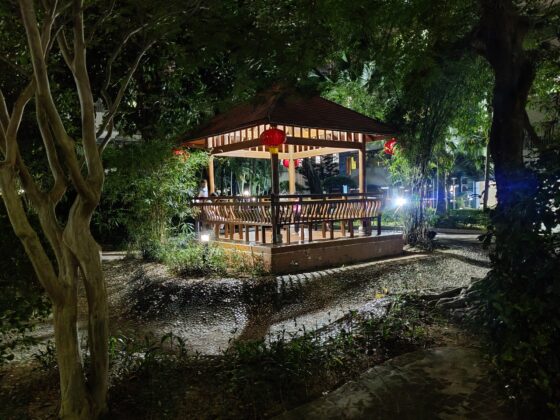 OnePlus 8T Night Camera (2)
