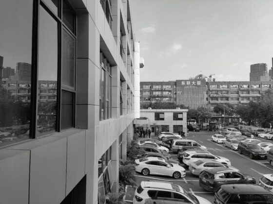 OnePlus 8T Pro Monochrome
