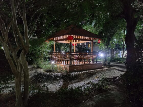 OnePlus 8T Pro Night Camera (4)