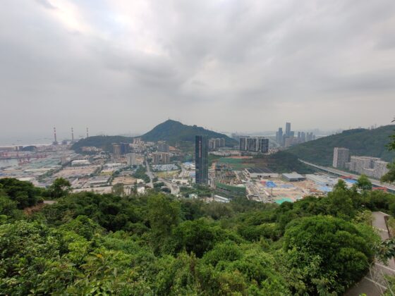 OnePlus 8T Pro wide angle (3)