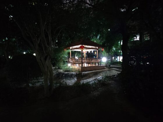 OnePlus 8T Pro wide angle night (3)