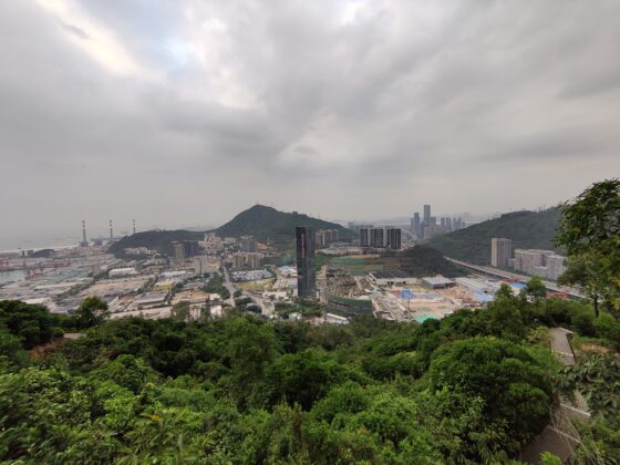 OnePlus 8T wide angle (3)